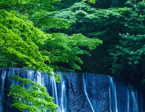 粉象生活是东西好不好