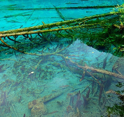 湖州选择粉象生活