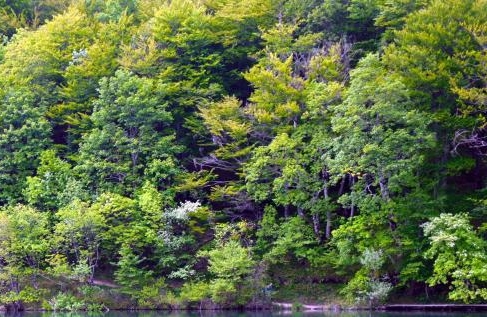 粉象生活登录时邀请码错误