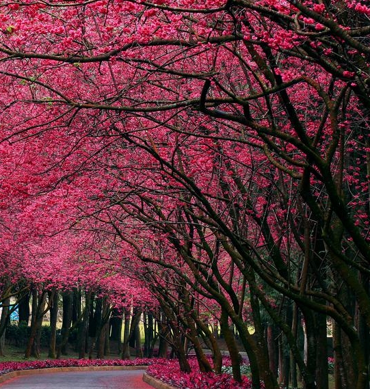 粉象生活登录不了