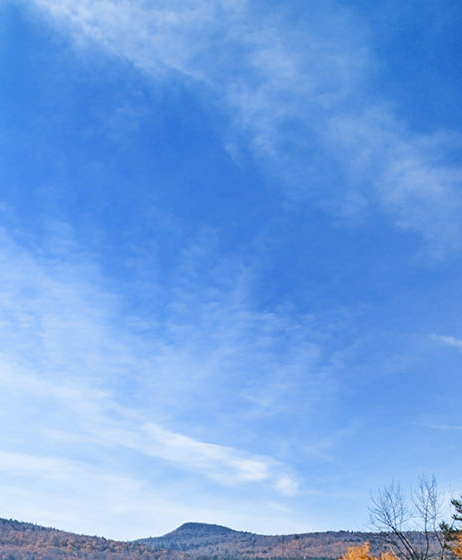 粉象生活邀请码