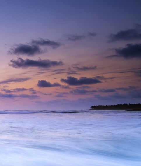 粉象生活至注册码061929至