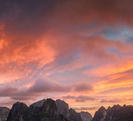 粉象生活微信邀请码