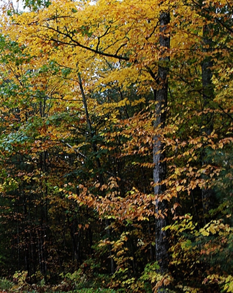 注册粉象生活有风险吗