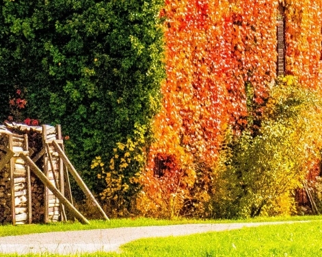 粉象生活怎么赚钱