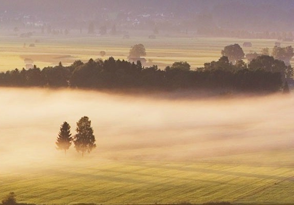 粉象生活邀请码