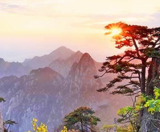 粉象生活可以赚钱吗