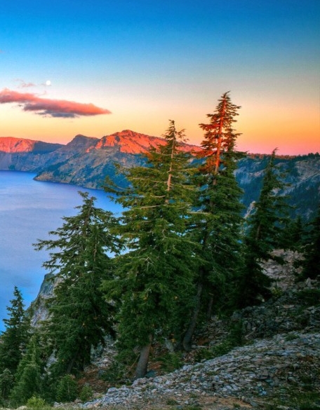 亳州粉象生活入驻注册账号