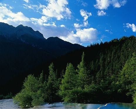 粉象生活邀请码