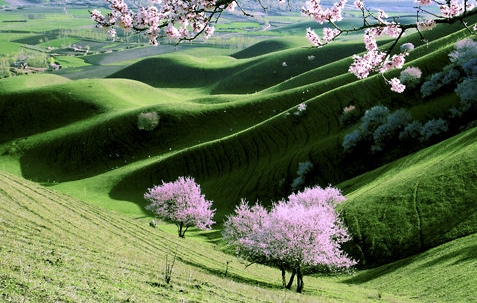 江苏粉象生活注册