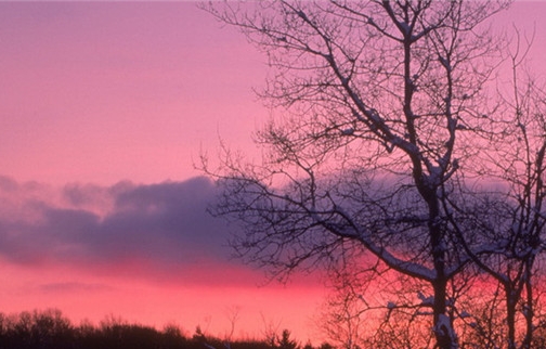 粉象生活上如何邀请好友