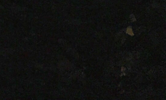 跟粉象生活类似的APP有哪些