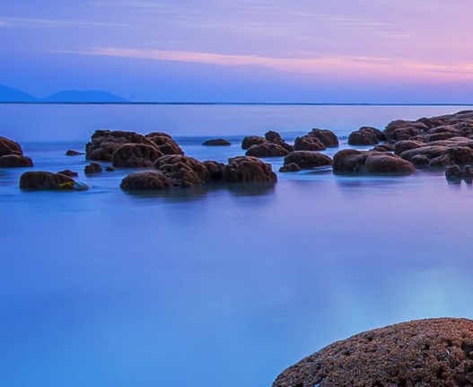 大象河南