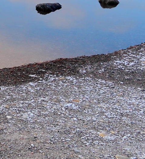 粉象生活购物有优惠吗