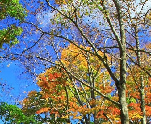 粉象生活新店开通邀请码