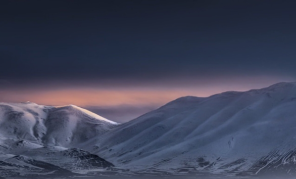 粉象生活邀请码填谁的最好