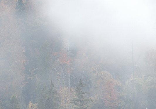 粉象生活是什么?