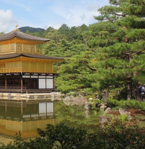 粉象香烟
