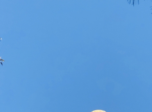 春新萌动综艺在哪播出