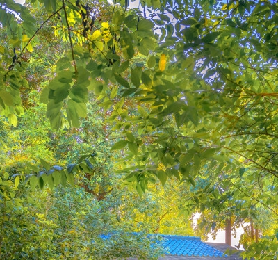 粉象生活邀请码