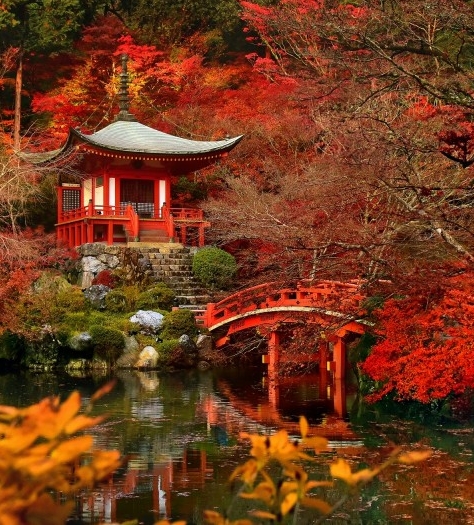 粉象生活