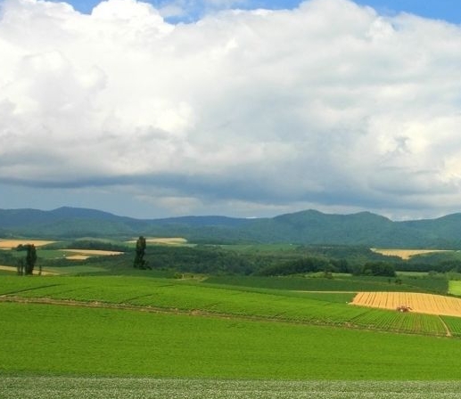 粉象生活登录ID