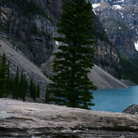 粉象生活官方APP邀请码