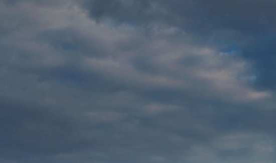 粉象生活新手怎么做