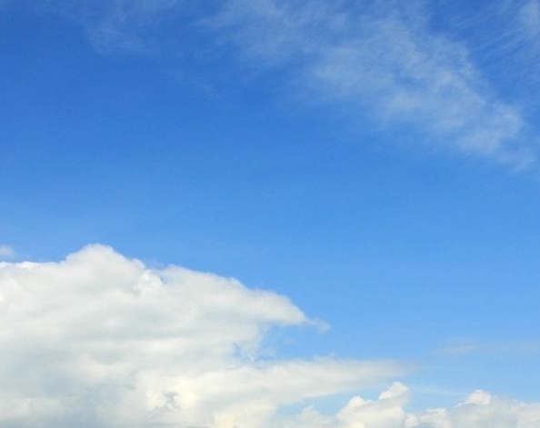 粉象生活能赚到钱吗