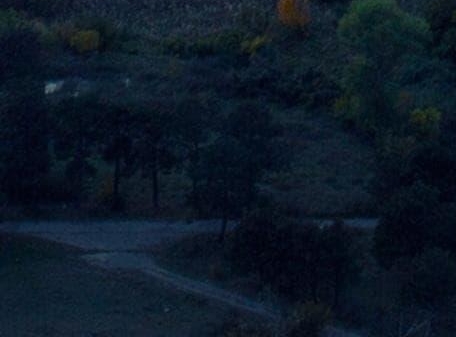 粉象生活怎么登录淘宝