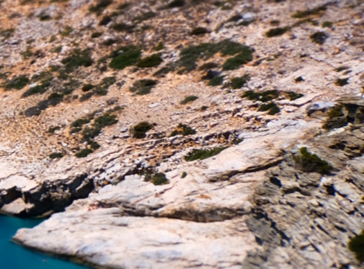 粉象生活团队注册条件要求