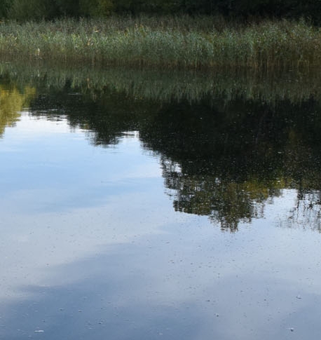 粉象生活分享赚钱方法