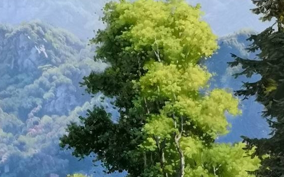 粉象生活卡