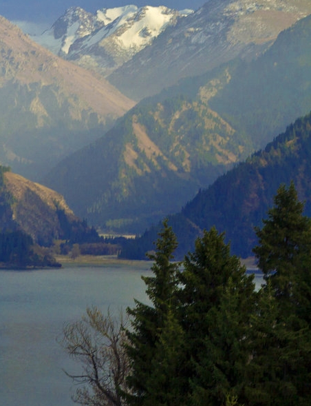 粉象生活APP怎么赚钱