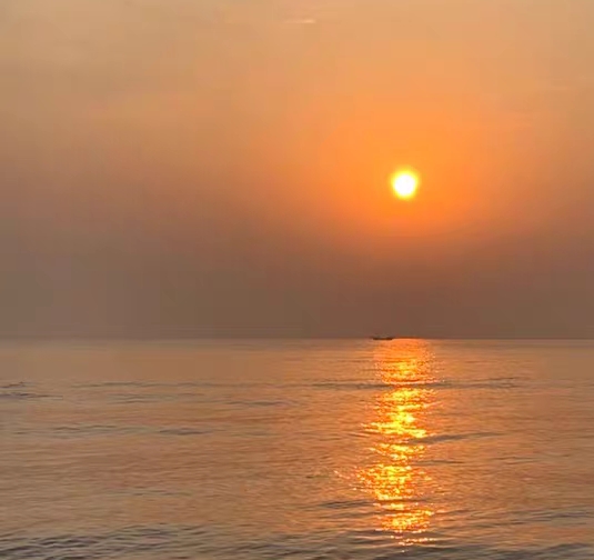 粉象生活骗局