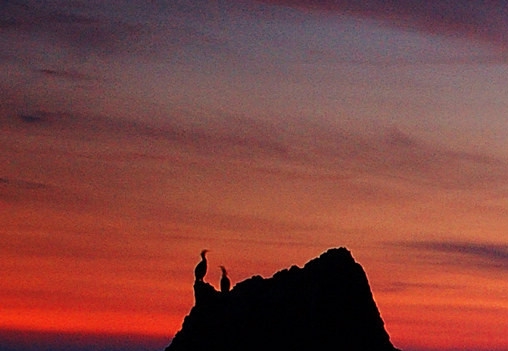 粉象生活粉丝怎么增加