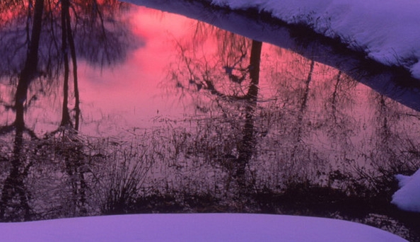 粉象生活如何注册