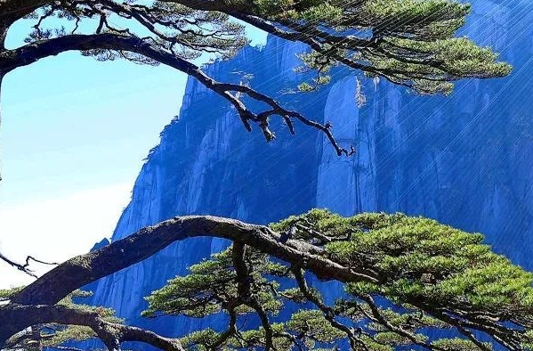 粉象怎么换邀请码