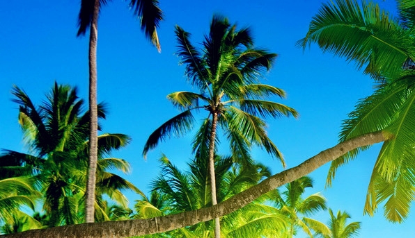 衡州粉象生活注册