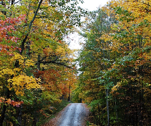 粉象绑定邀请人