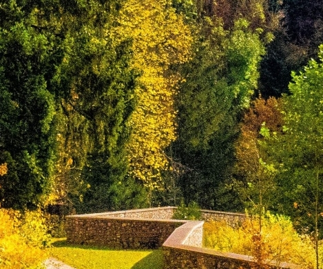 粉象生活最新信息