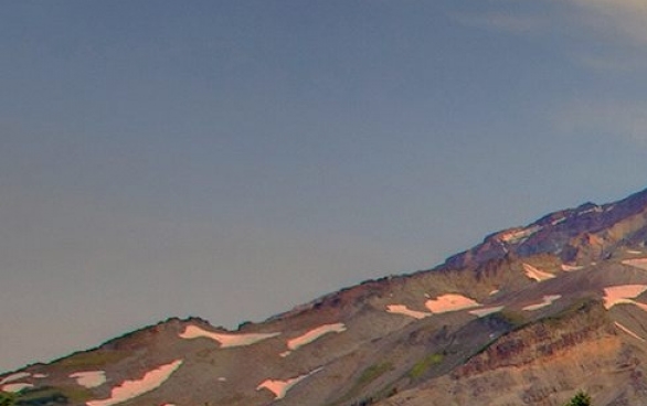 蓝鲸生活APP下载