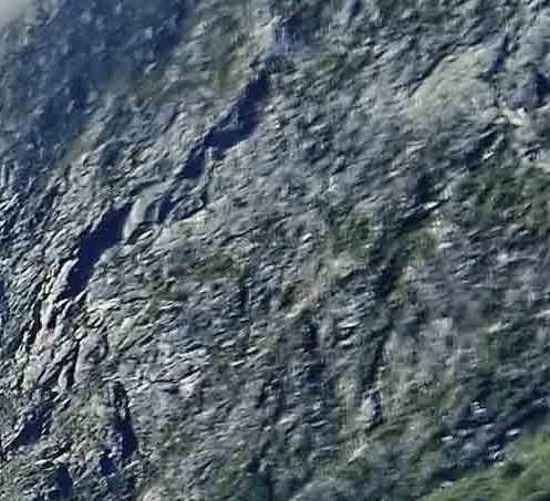 粉象生活邀请码