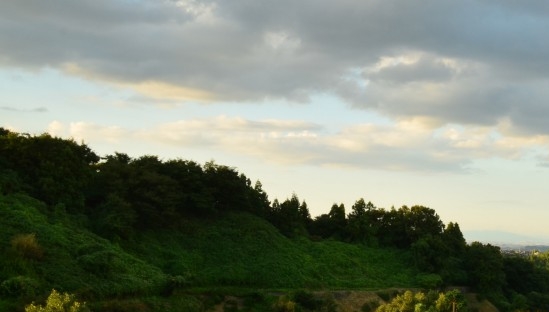 粉象生活公司介绍粉象生活