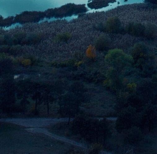 粉象生活邀请码