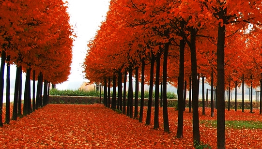 粉象生活怎样绑定微信