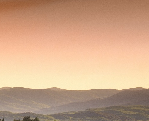 如何加入粉象生活推广