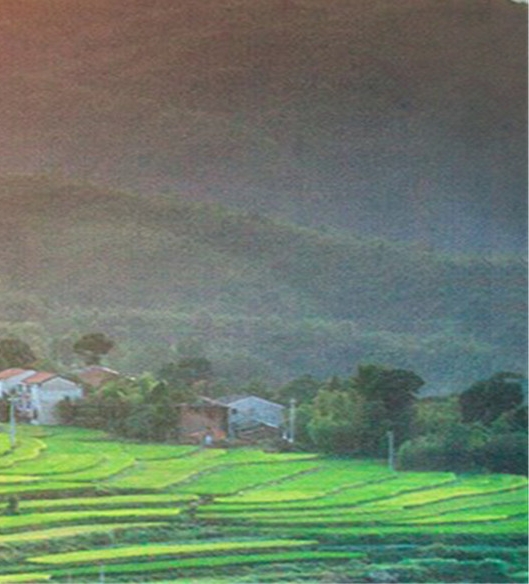 佛山粉象生活图片