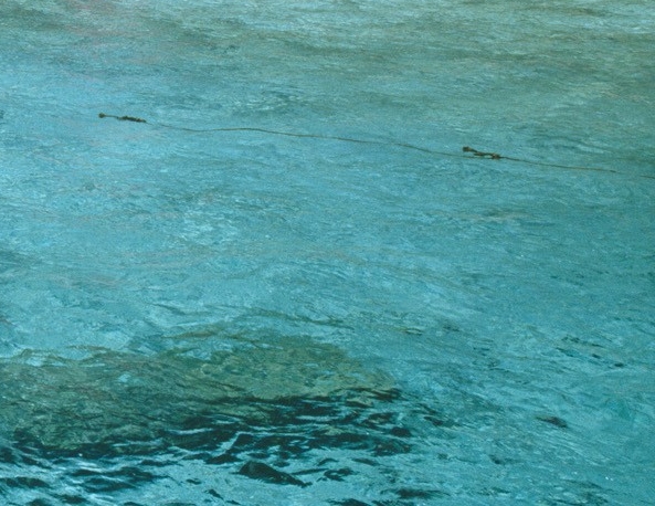 怎样登录粉象生活