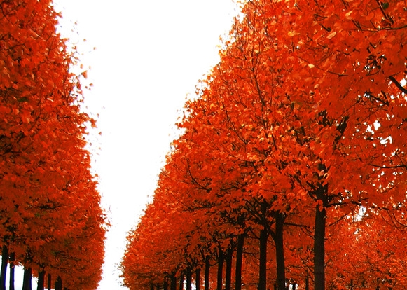 粉象生活注册的号怎么注销